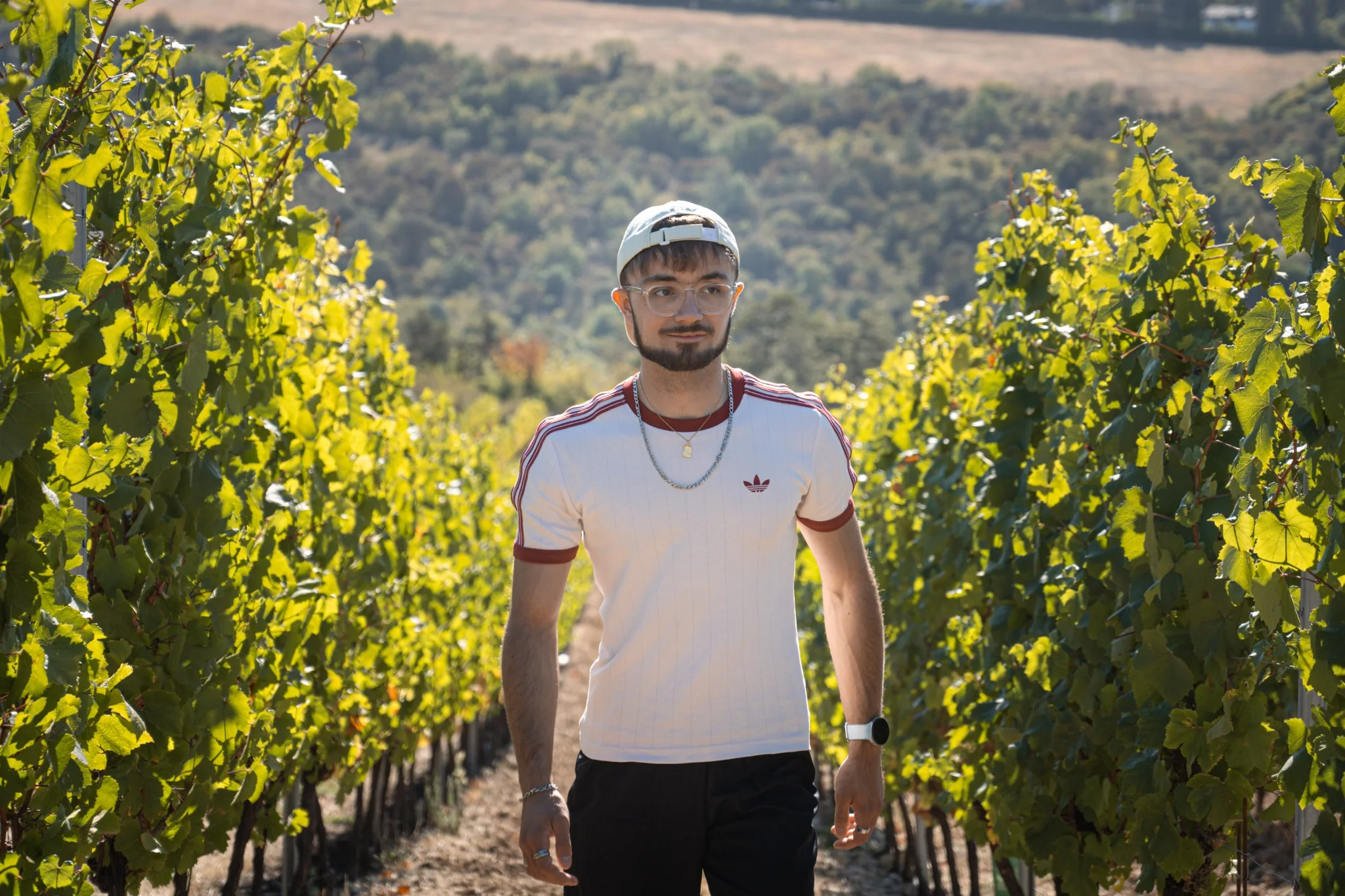 Roman Kennel marchant entre les vignes lors d’un reportage photo et vidéo