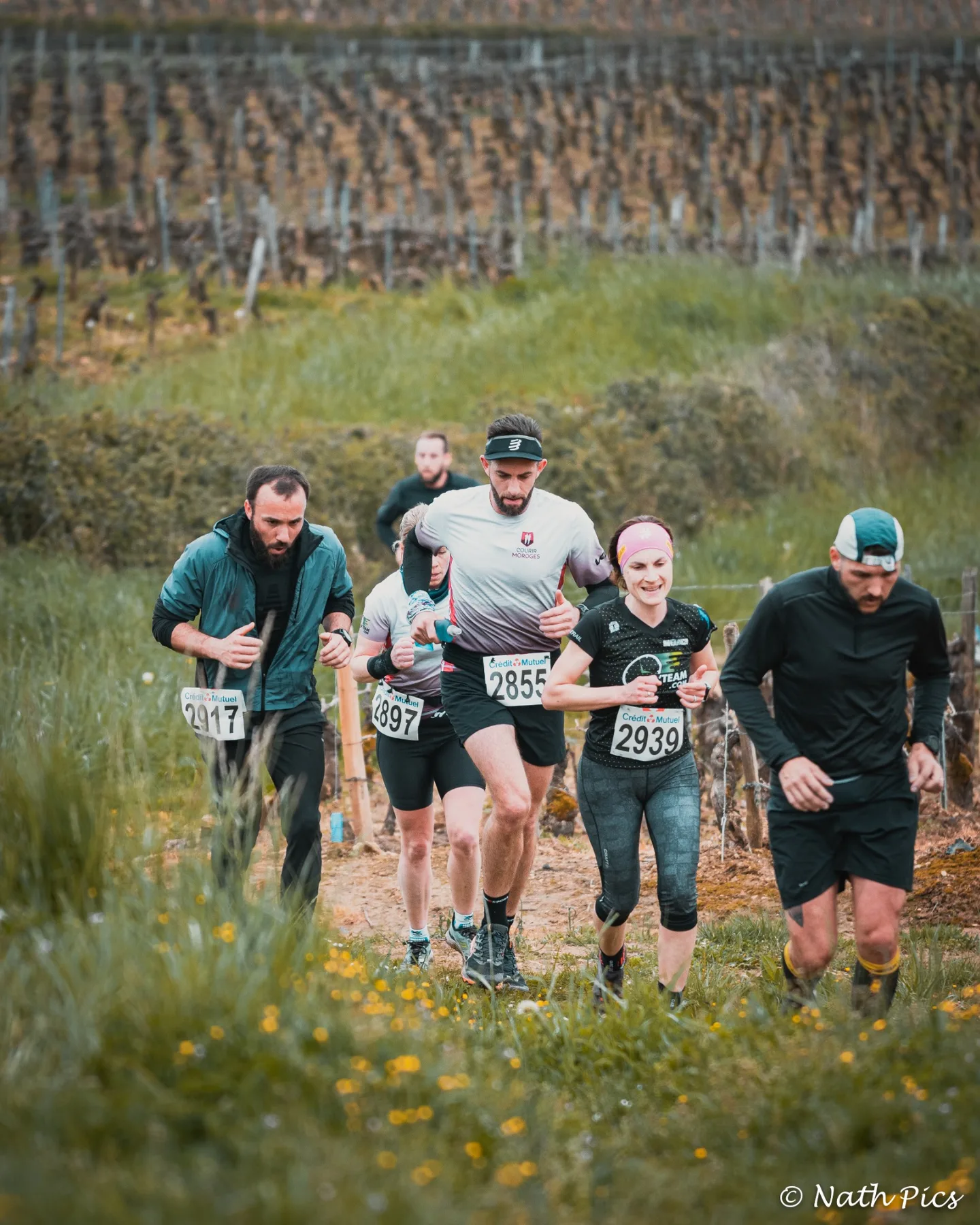 Trail du Mont Avril — Entente Chalonnaise d’Athlétisme